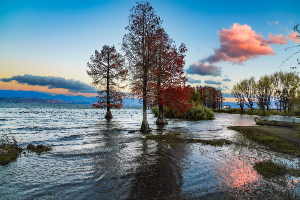 iStock 2190004507